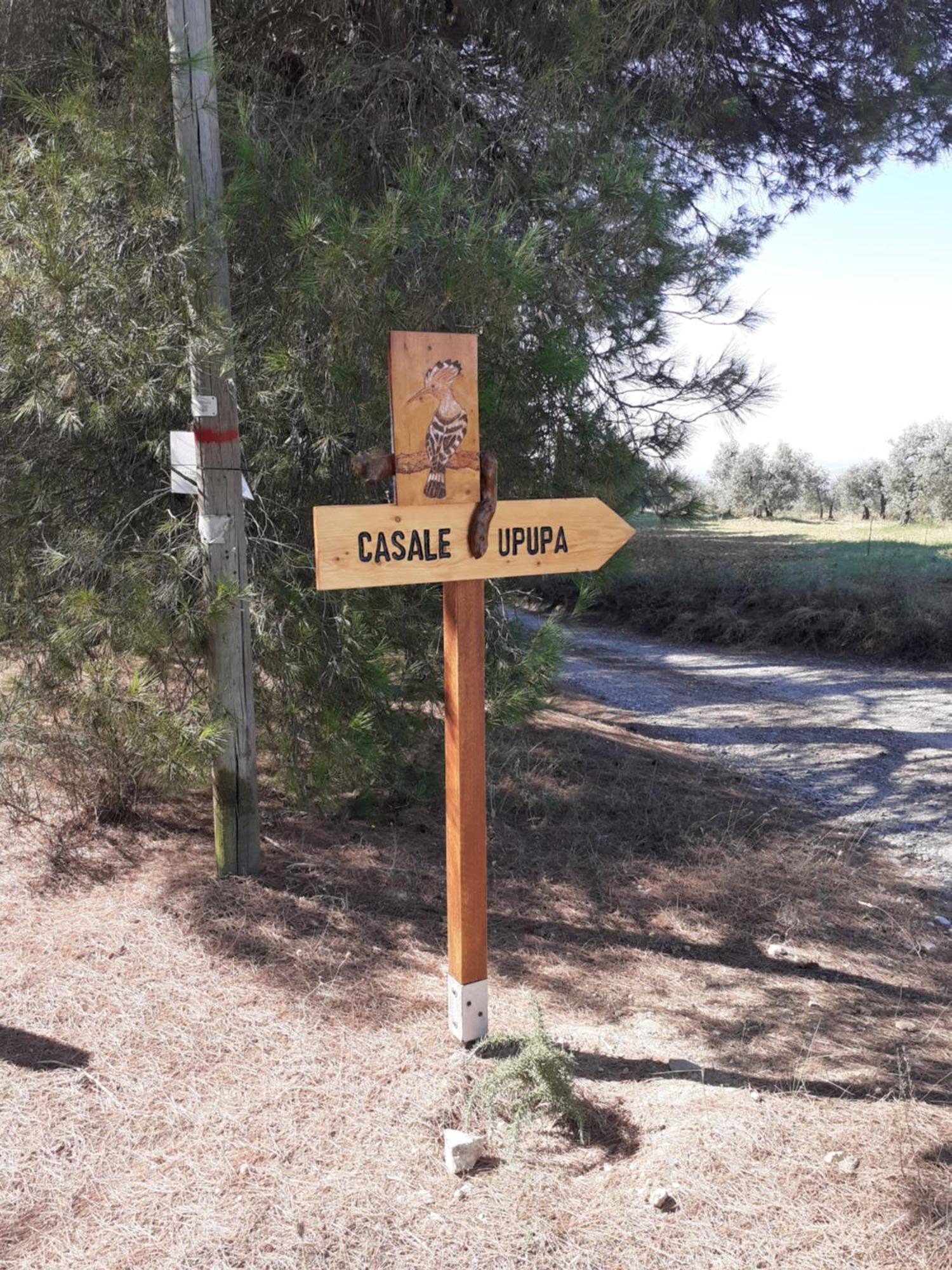 Vila Casale L'Upupa Orvieto Exteriér fotografie
