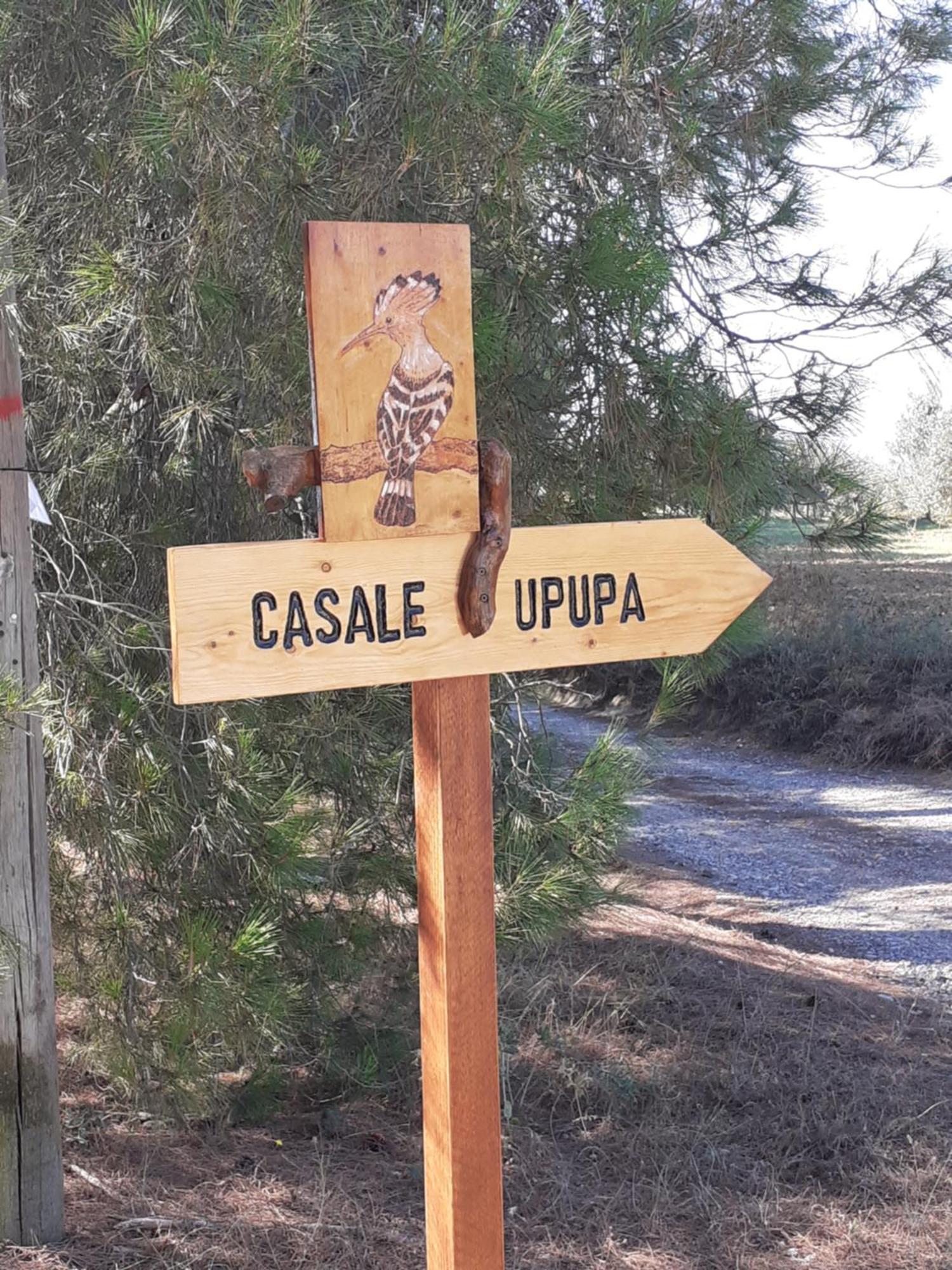 Vila Casale L'Upupa Orvieto Exteriér fotografie